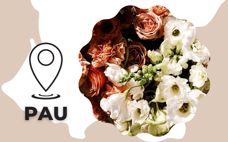Mariage Pau Animation